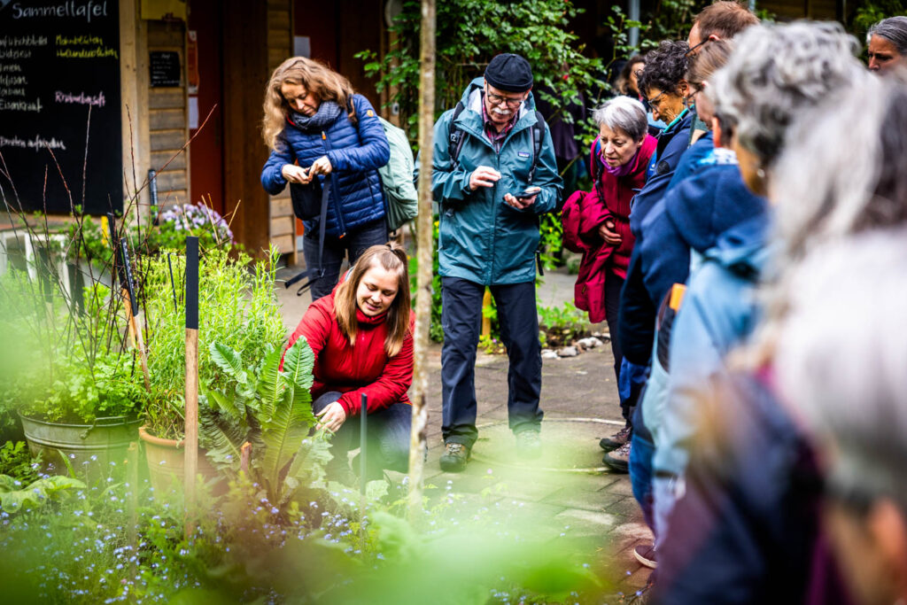 kraeuterfestival-2025-rundgang.jpg